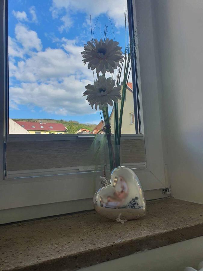 Ferienwohnung Blick Punkt Tann  Exterior foto