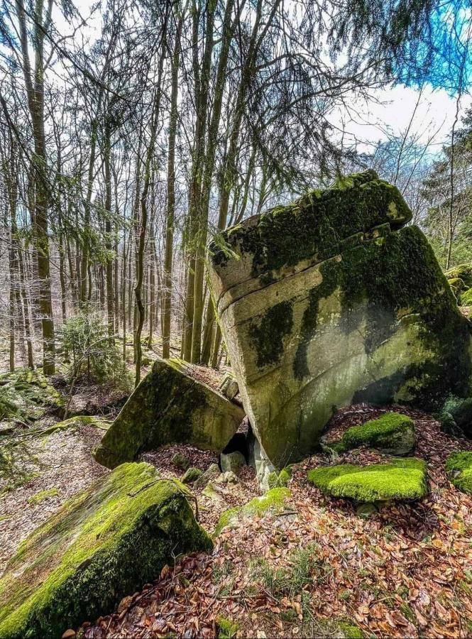 Ferienwohnung Blick Punkt Tann  Exterior foto